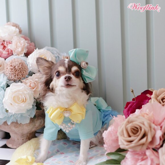 Baby Bling BB by Wooflink - SIZE 1 WHITE - Picture 3 of 5